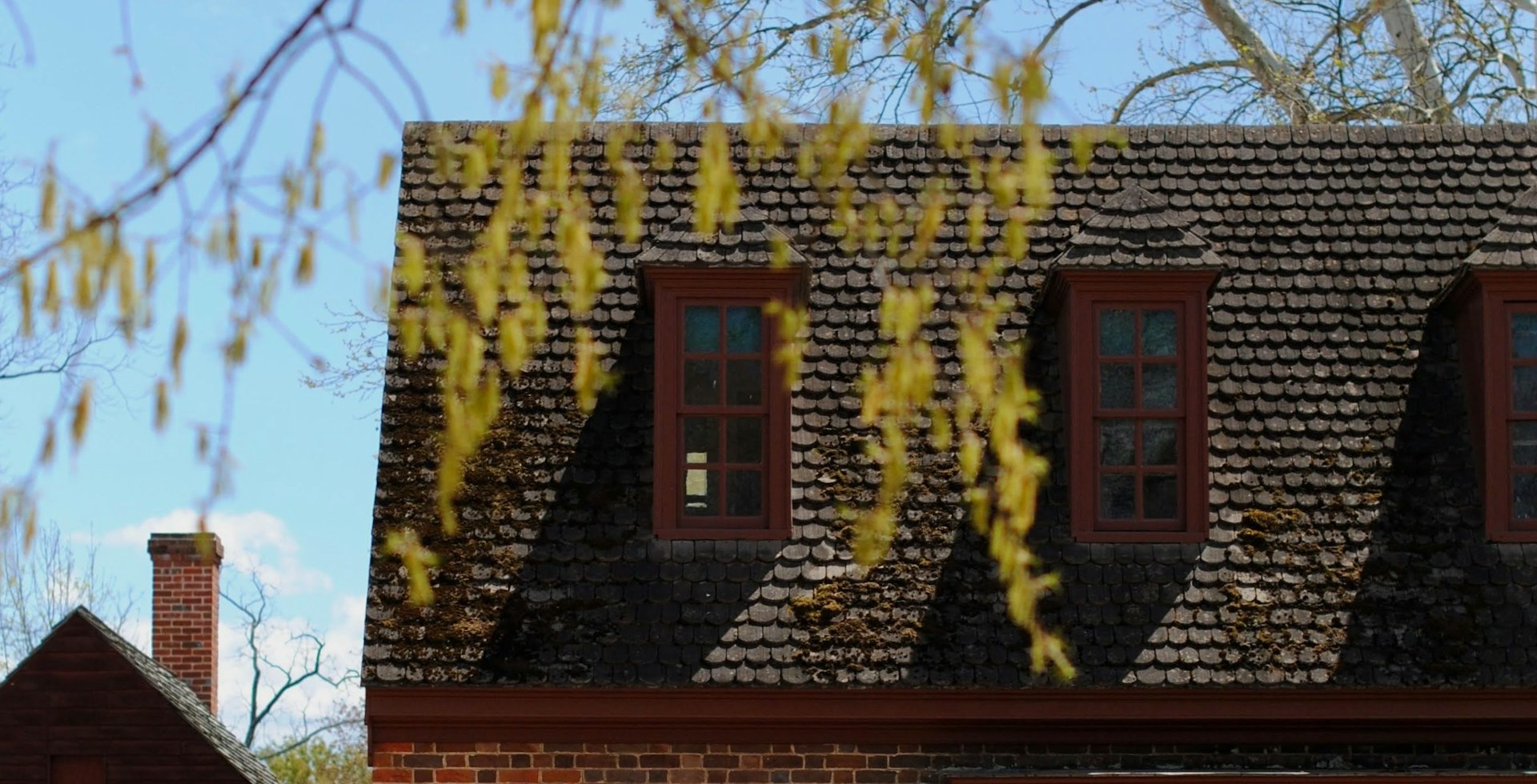 Shingle roofing